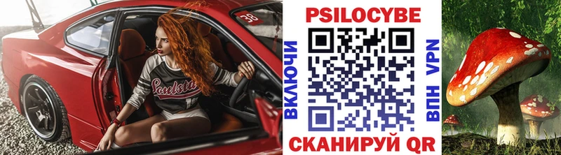Купить где  Анива  Галлюциногенные грибы Psilocybine cubensis 